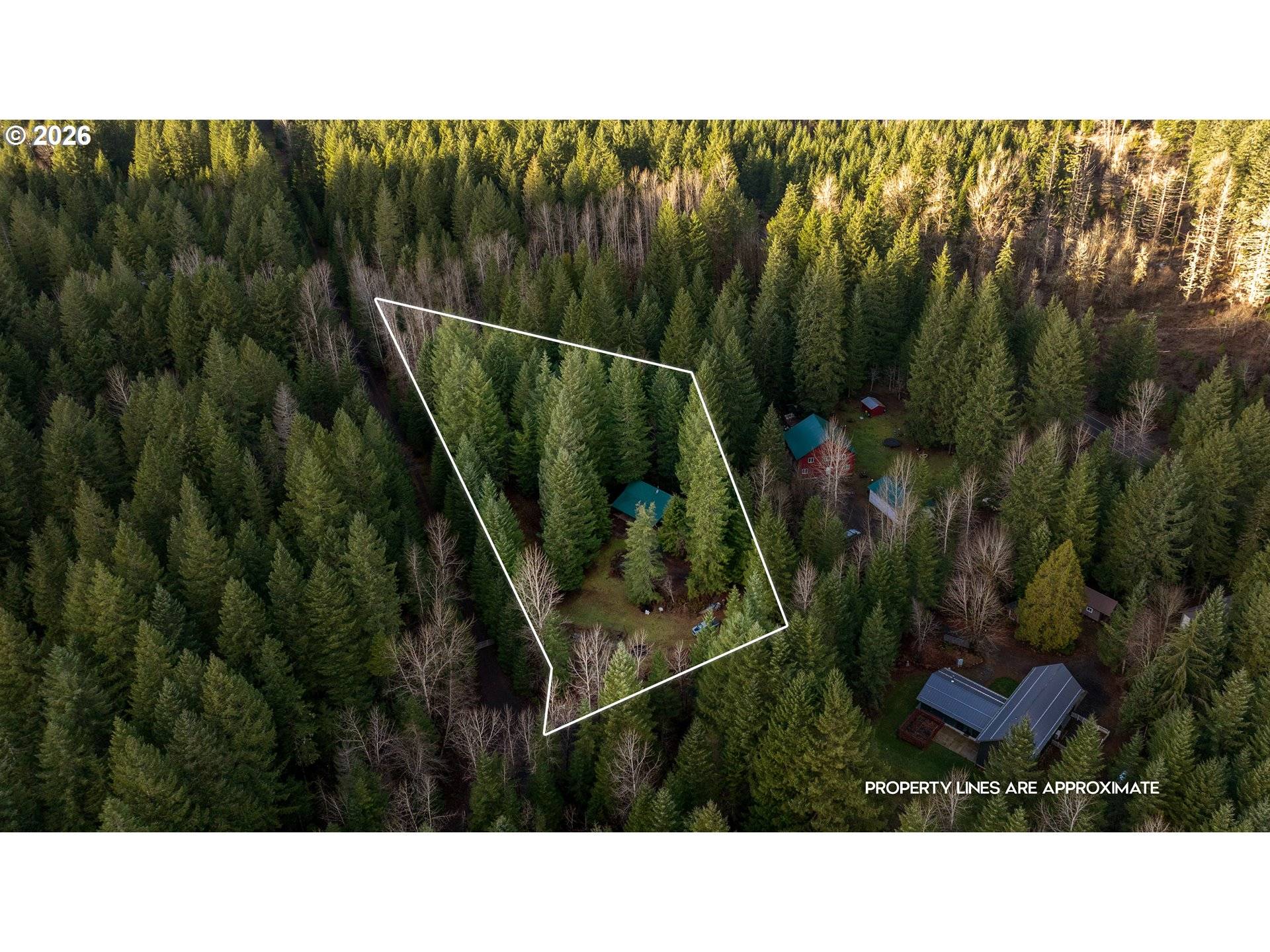 Carson, WA 98610,62 SADIE RD