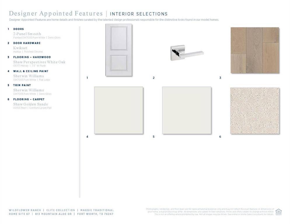 Fort Worth, TX 76247,813 Mountain Aloe