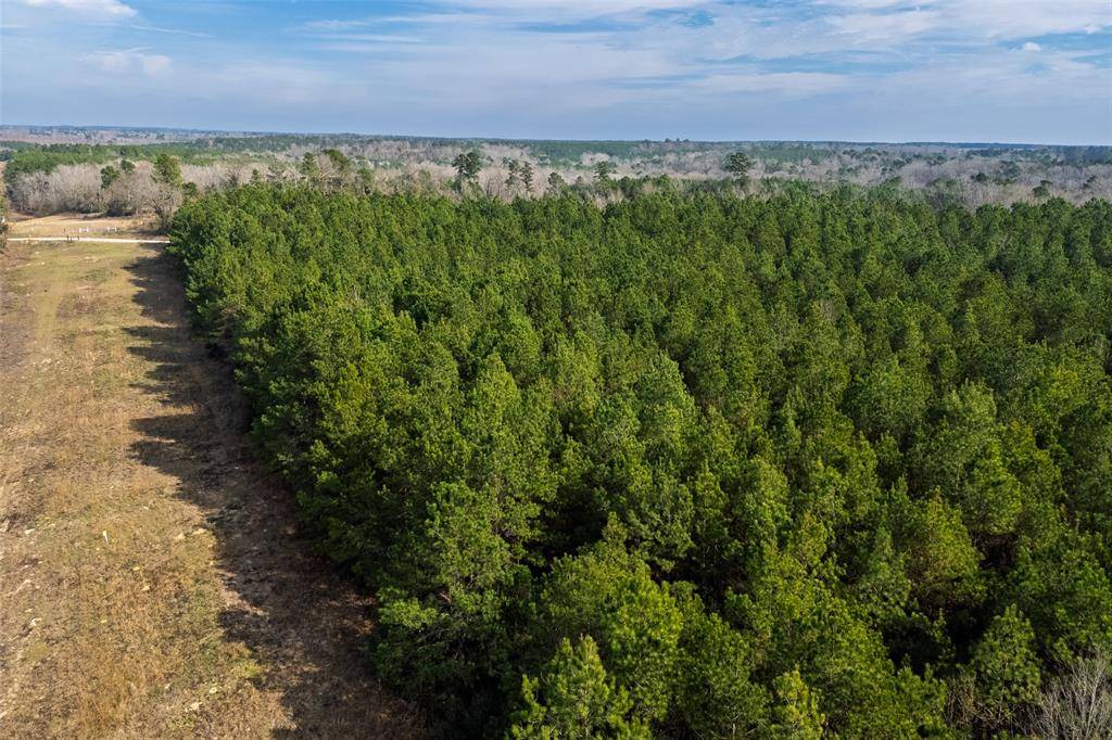 Center, TX 75935,000 County Road 1245