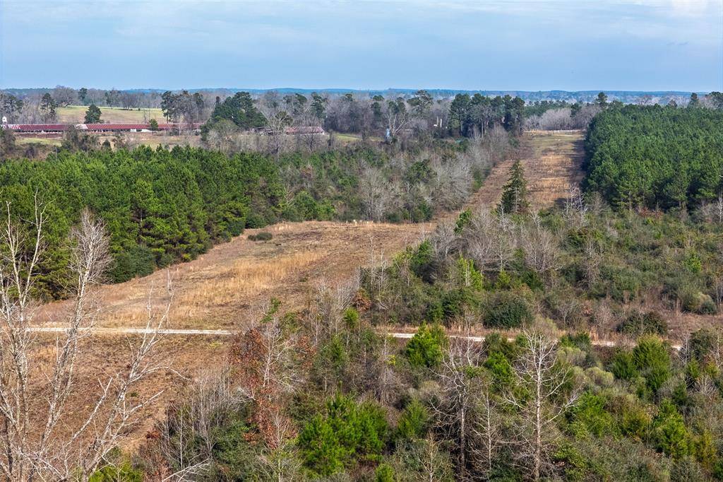 000 County Road 1245, Center, TX 75935