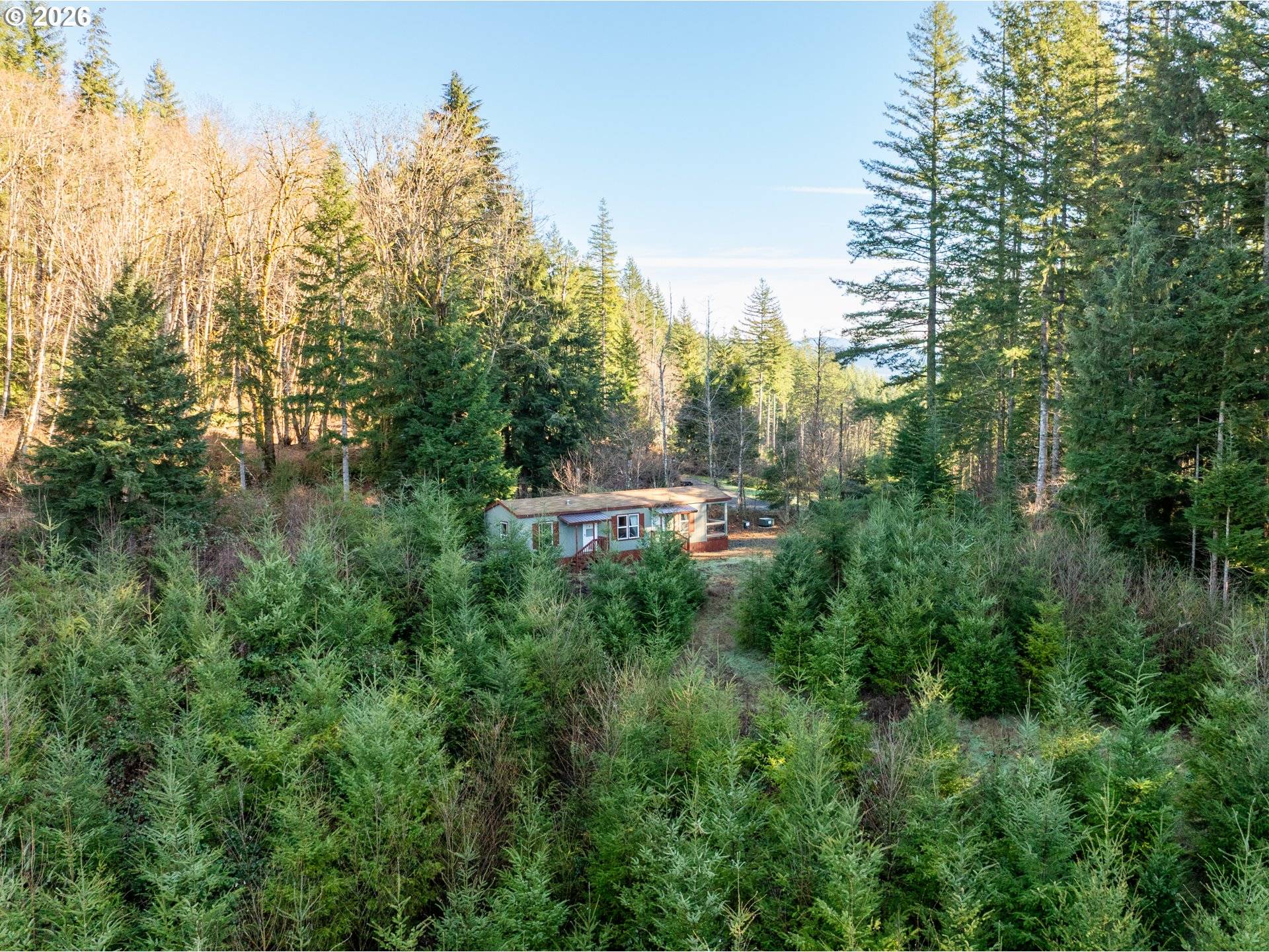 Amboy, WA 98601,43902 NE COLUMBIA TIE RD