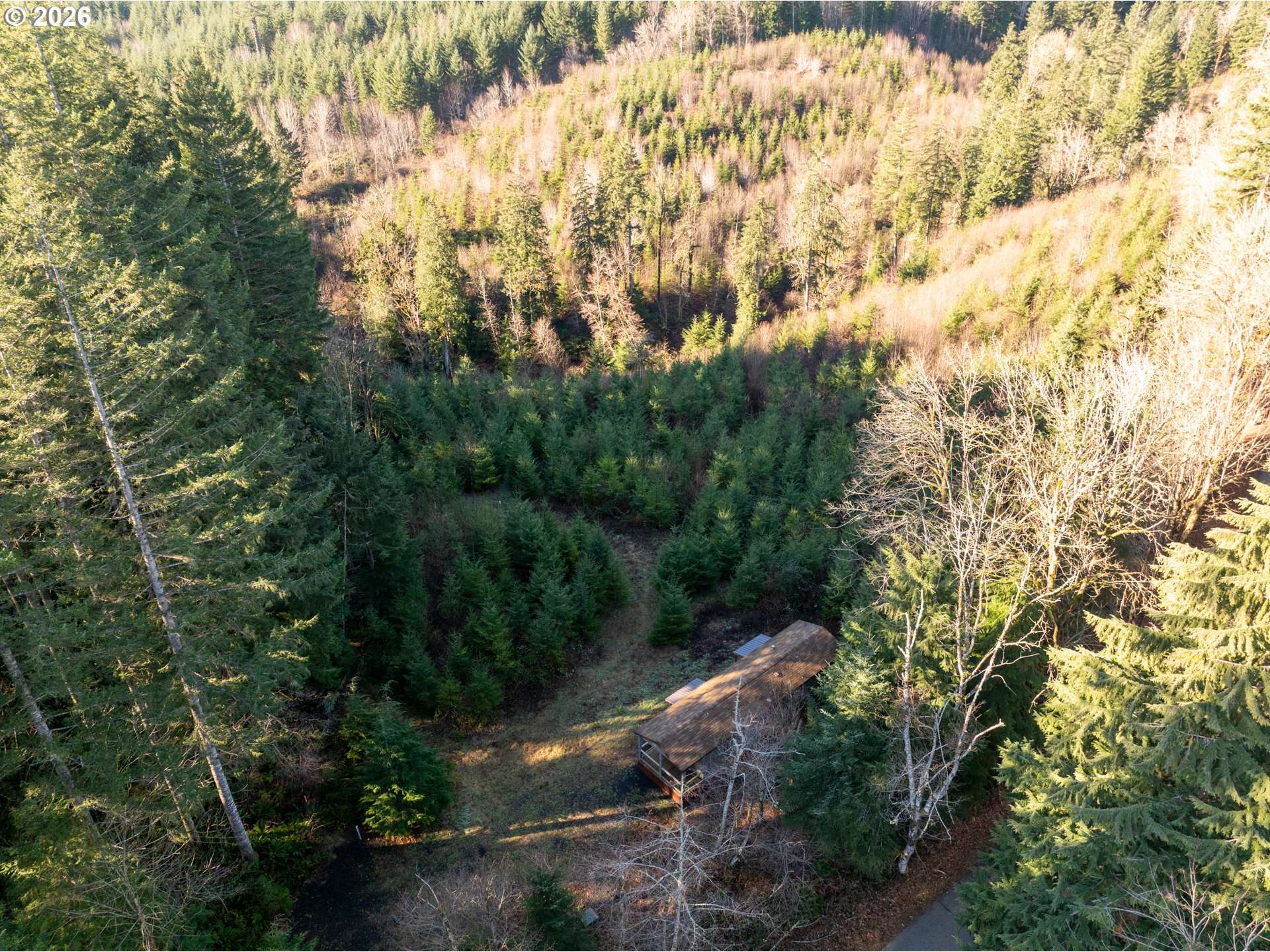 Amboy, WA 98601,43902 NE COLUMBIA TIE RD