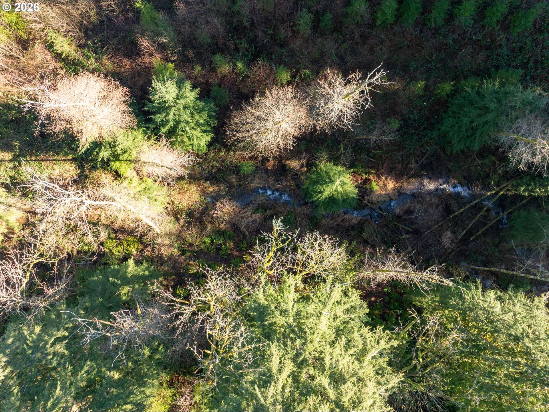 Amboy, WA 98601,43902 NE COLUMBIA TIE RD