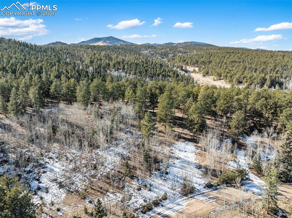 Lake George, CO 80827,Lot 20 Echo Lake DR