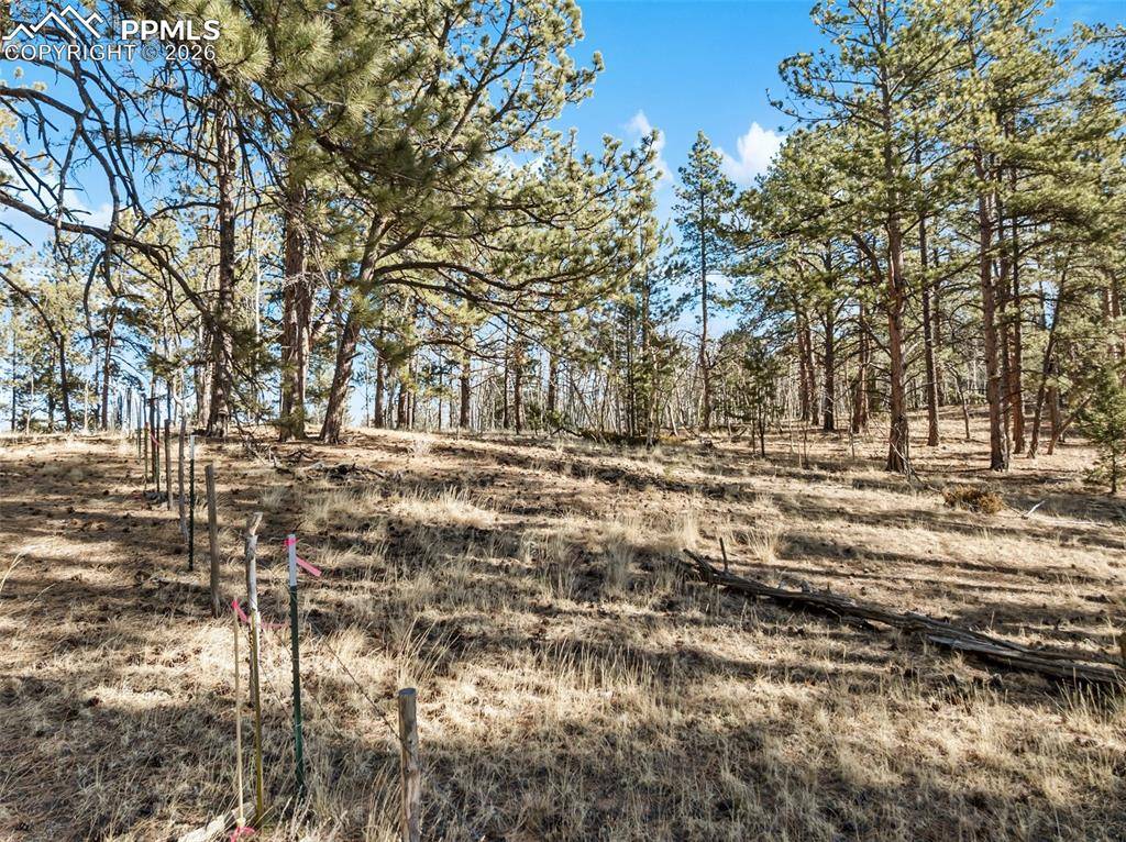 Lake George, CO 80827,Lot 20 Echo Lake DR