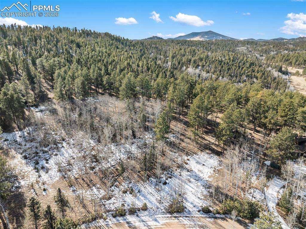 Lake George, CO 80827,Lot 20 Echo Lake DR