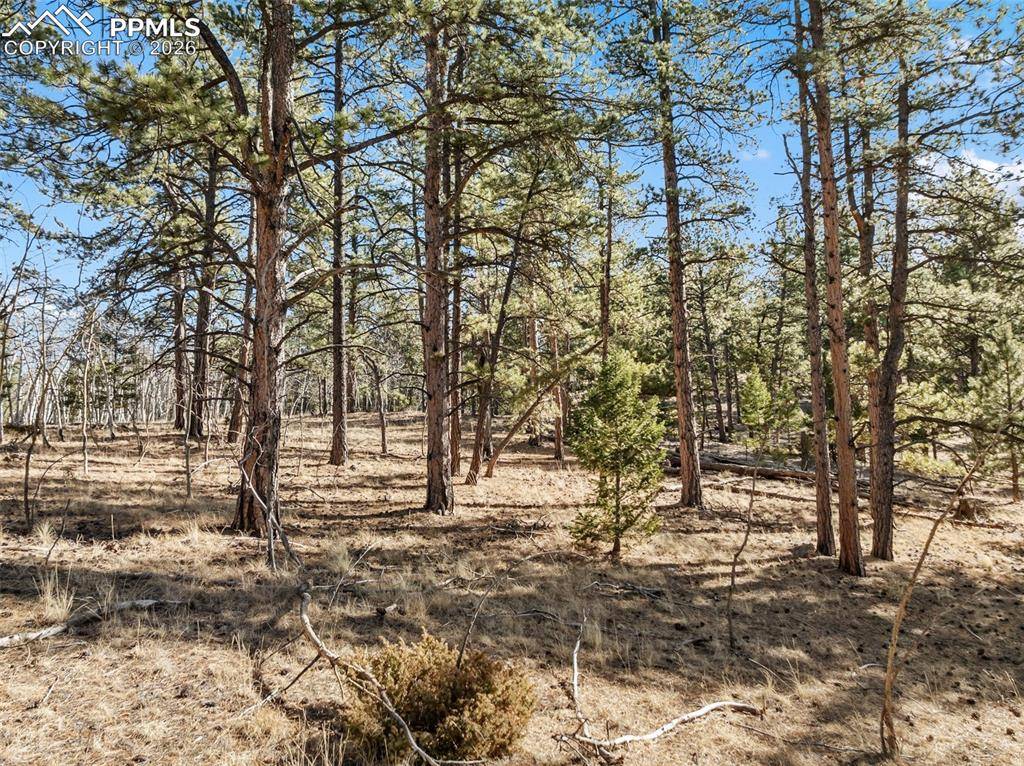 Lake George, CO 80827,Lot 20 Echo Lake DR