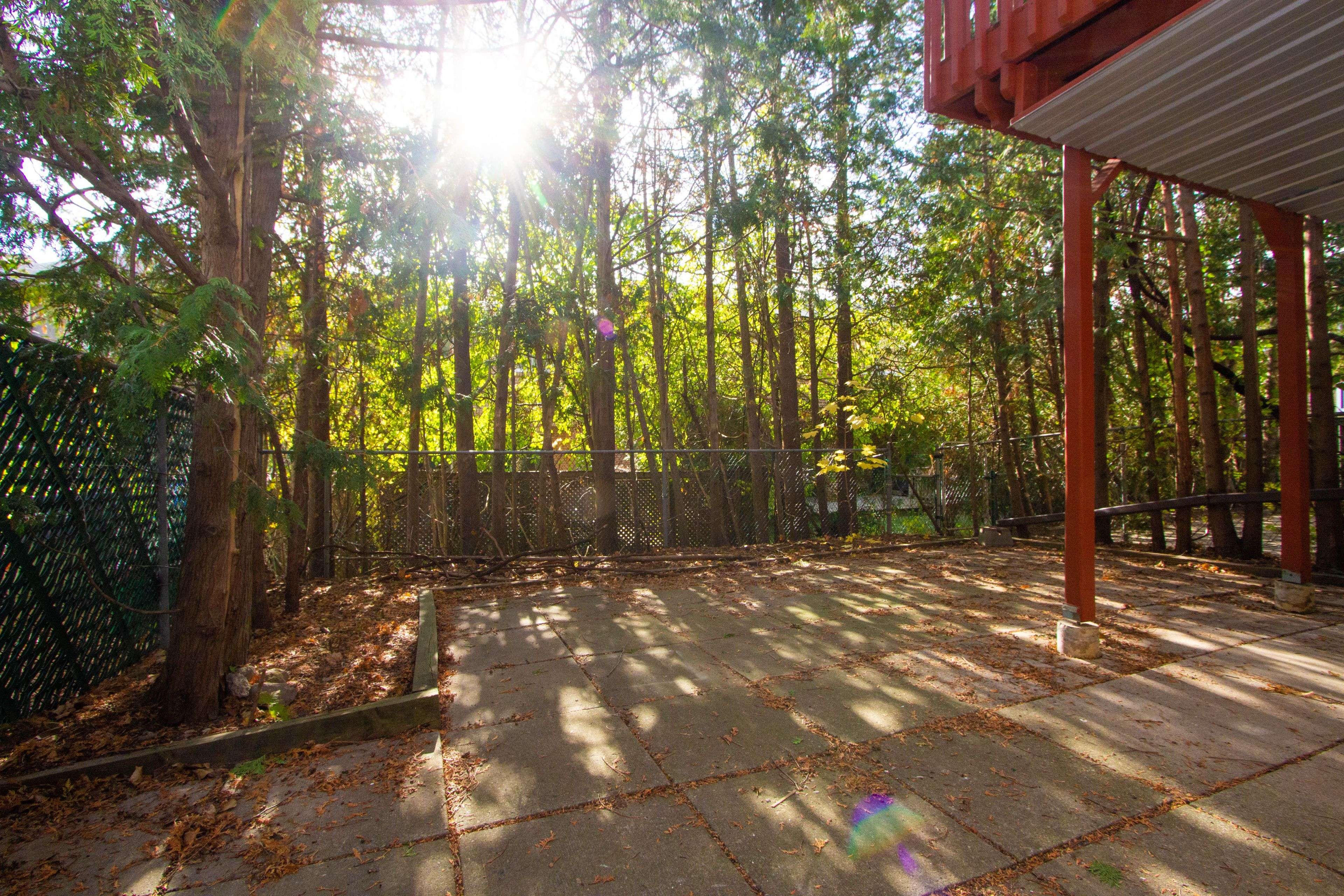 Toronto C07, ON M2R 3R5,234 Robert Hicks (Lower) DR