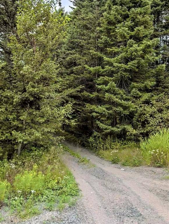 Lethbridge, NL A0C 1V0,147 Bayside Drive