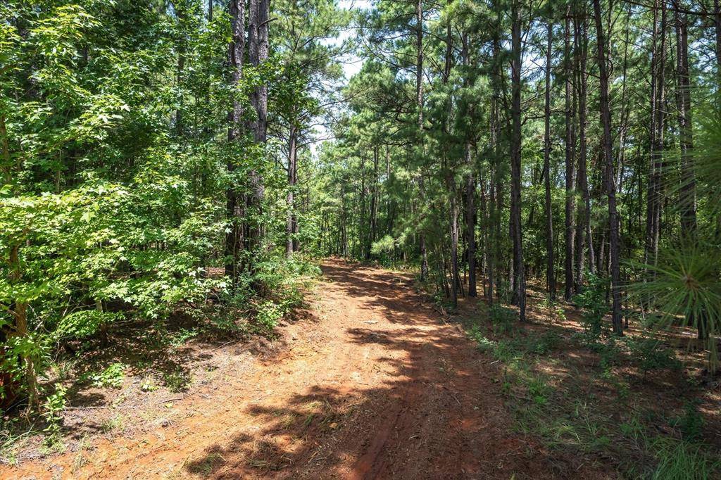 Jacksonville, TX 75766,Tract 1 County Road 4102