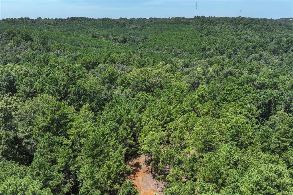 Jacksonville, TX 75766,Tract 1 County Road 4102