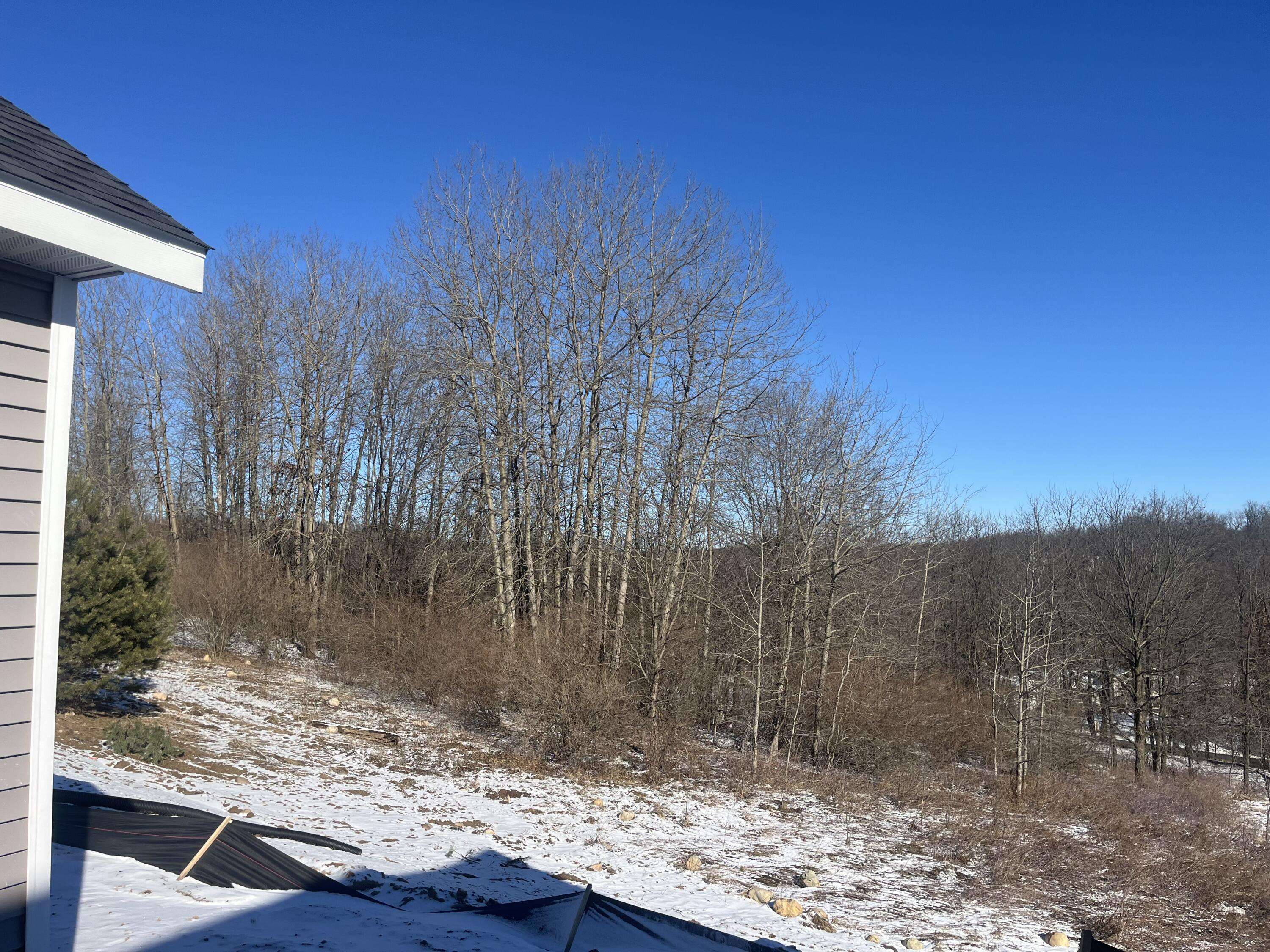 Lowell, MI 49331,1398 Center Hill RD SE #51