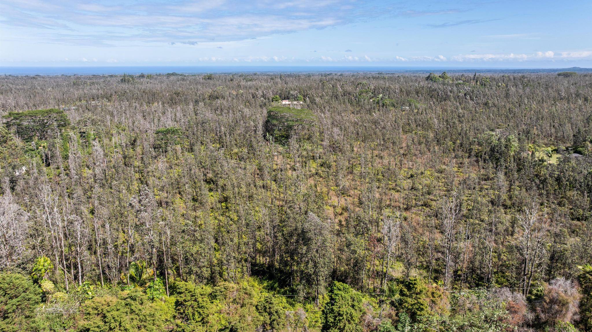 Kurtistown, HI 96760,ROAD 4 (IO KEA)