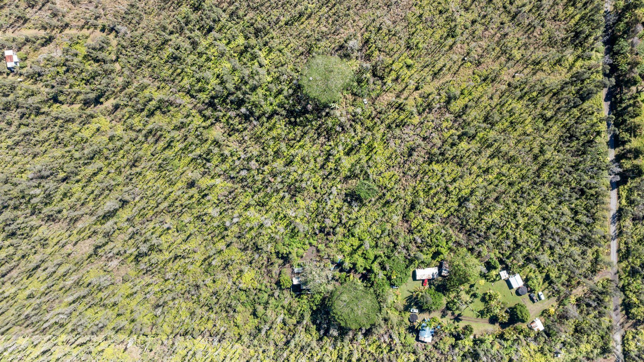 Kurtistown, HI 96760,ROAD 4 (IO KEA)