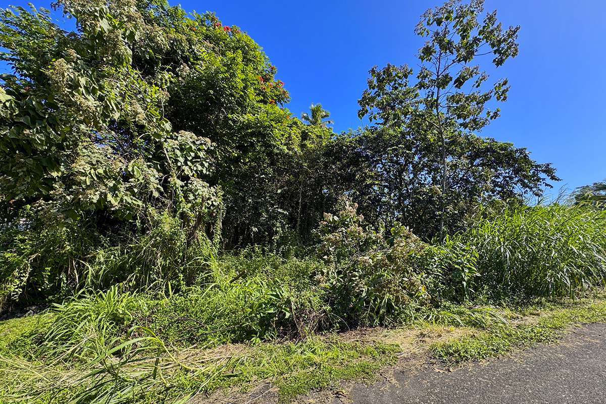 Pahoa, HI 96778,OOPU ST