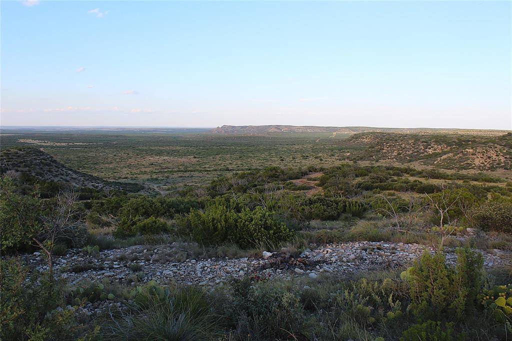 Robert Lee, TX 76945,TBD T5 Hwy 208