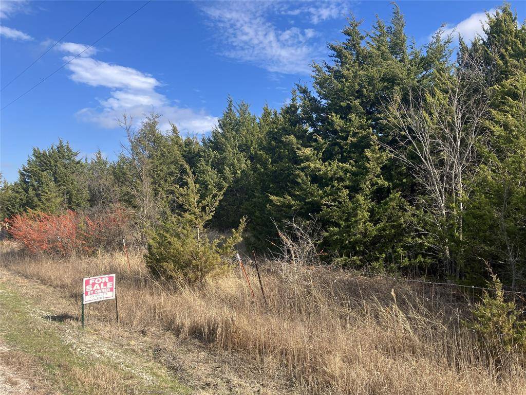 Blue Ridge, TX 75424,TBD County Road 670