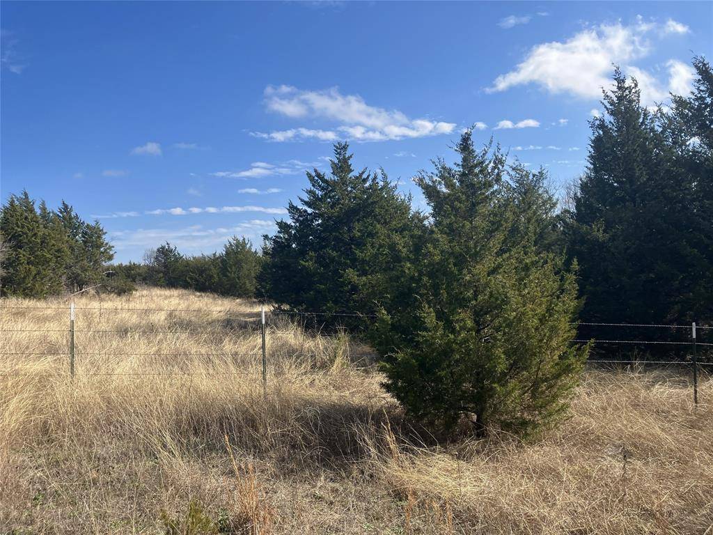 Blue Ridge, TX 75424,TBD County Road 670