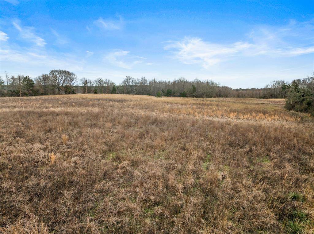 Pittsburg, TX 75686,2332 County Road 2212