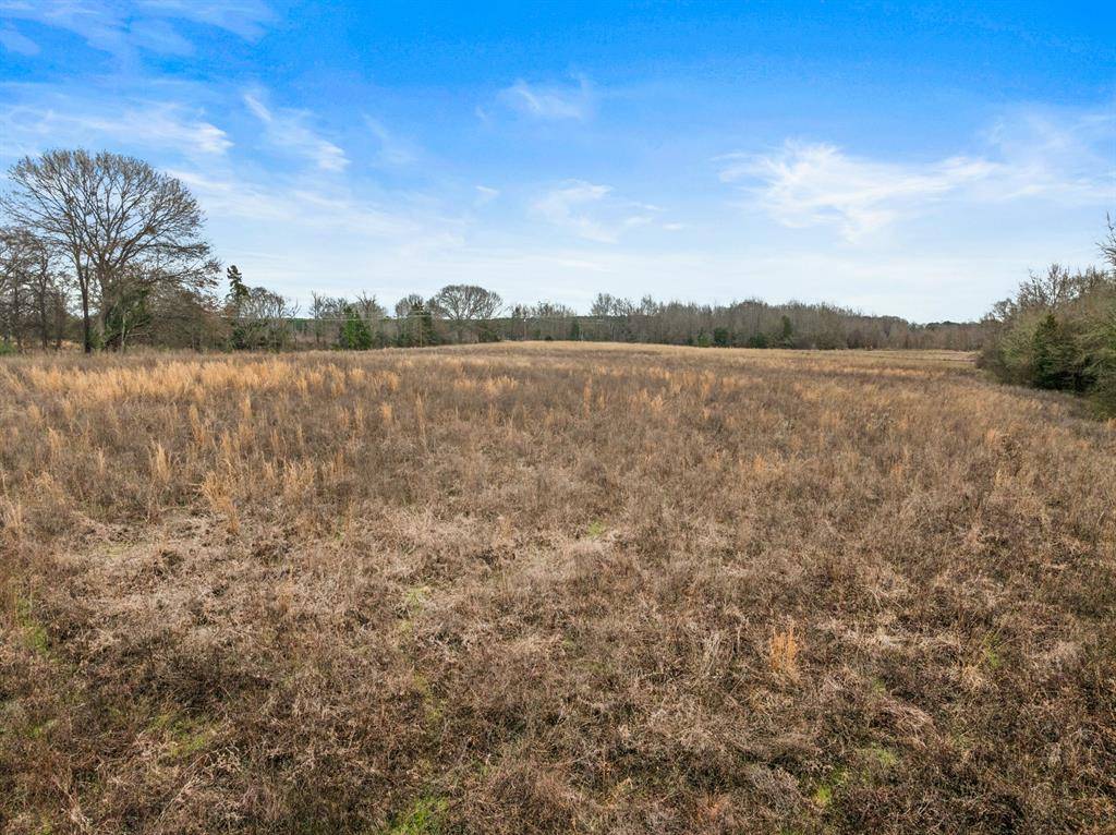 Pittsburg, TX 75686,2332 County Road 2212