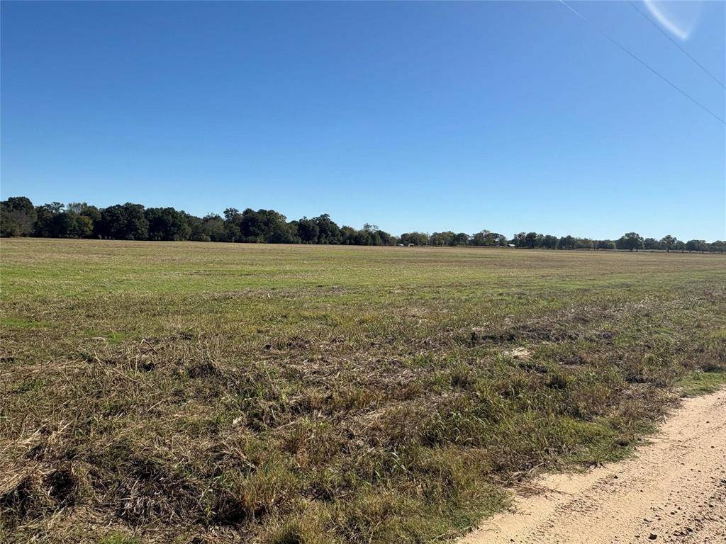 Telephone, TX 75488,Lot 3 County Rd 2130