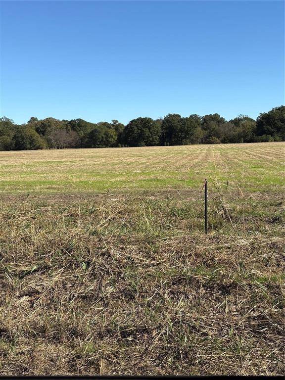 Telephone, TX 75488,Lot 3 County Rd 2130