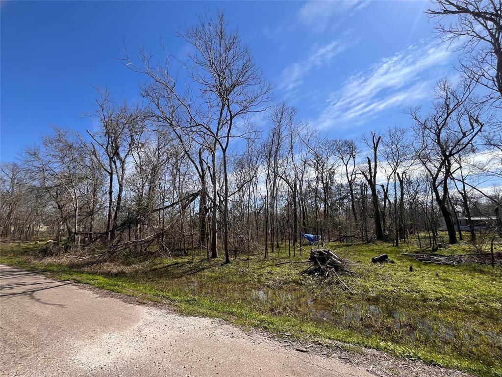 Holiday Lakes, TX 77515,TBD Penguin Lane