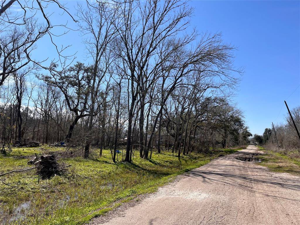 Holiday Lakes, TX 77515,TBD Penguin Lane