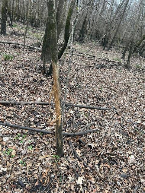 Bogata, TX 75417,TBD PR 5042