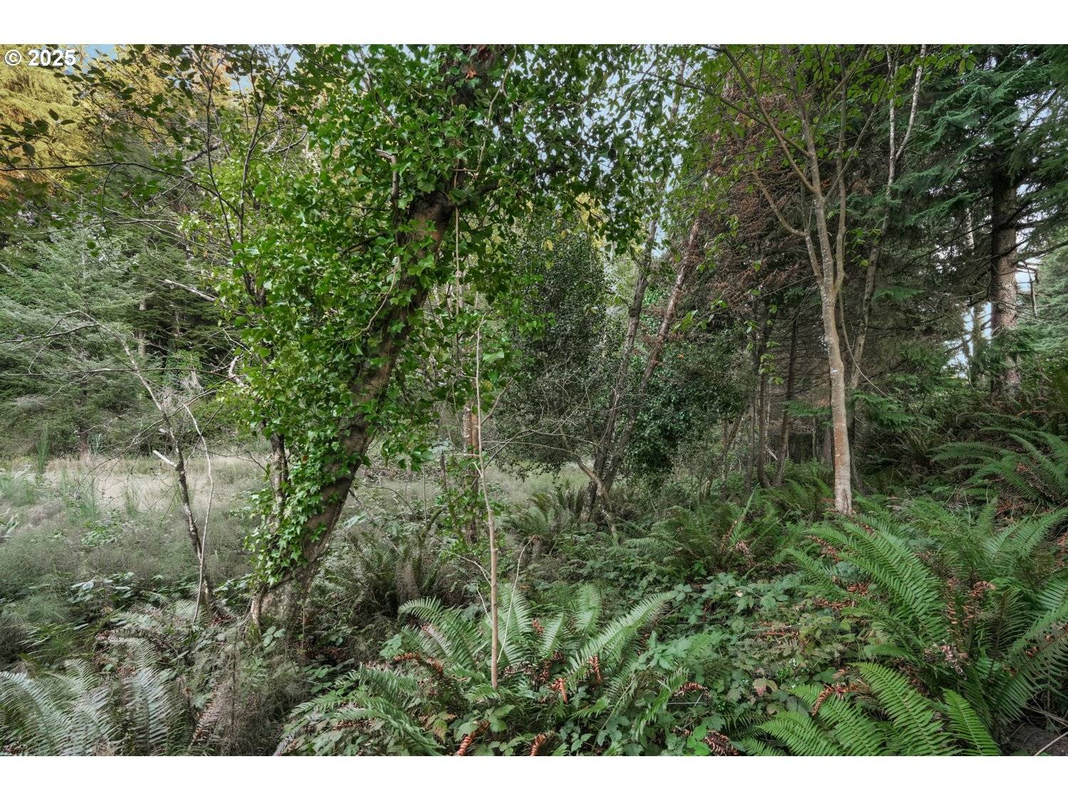 Coos Bay, OR 97420,0 Ocean BLVD