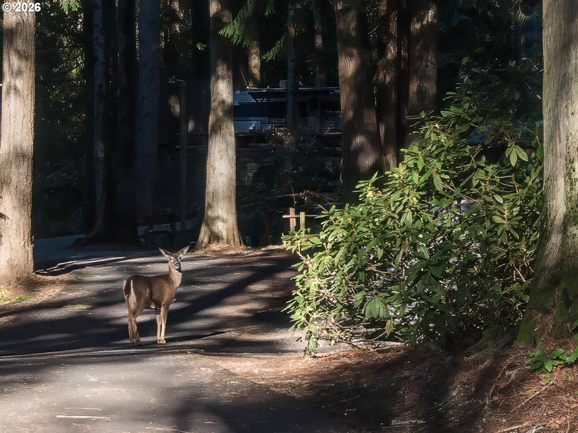 Boring, OR 97009,32700 SE Leewood LN #57R