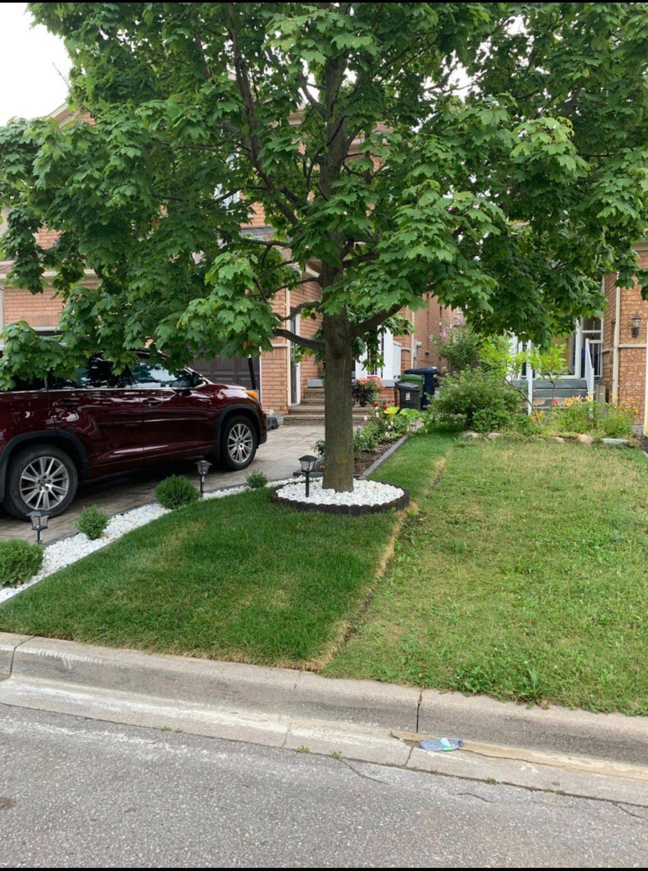 Toronto E11, ON M1B 6B2,27 Red Hawk RD #BSMT