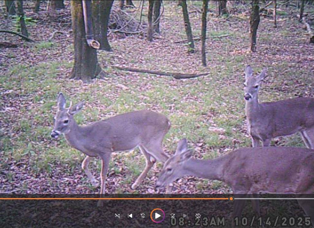 Bogata, TX 75417,TBD PR 5042