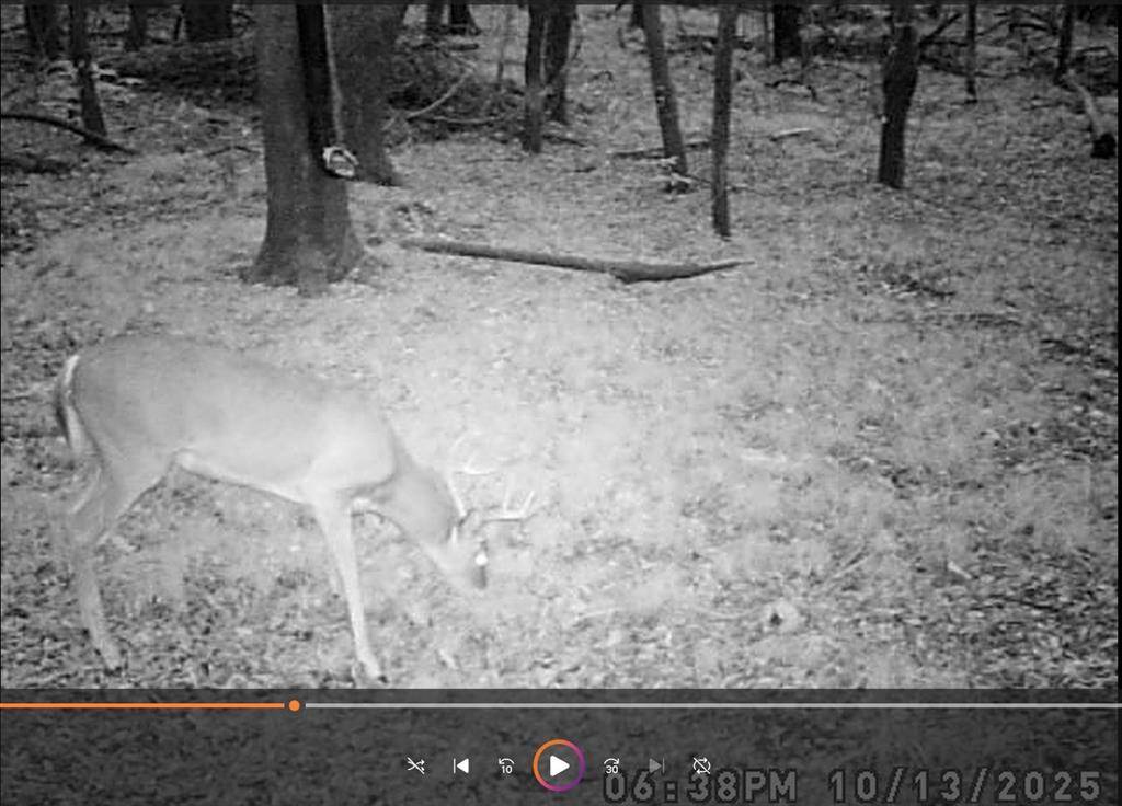 Bogata, TX 75417,TBD PR 5042