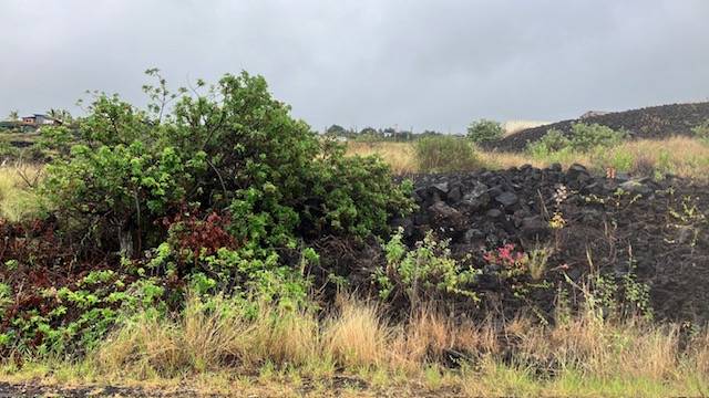 Captain Cook, HI 96704,MILOLII RD