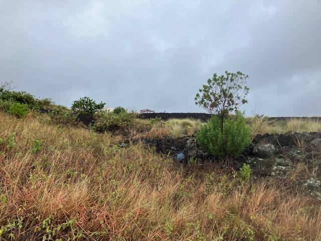 Captain Cook, HI 96704,MILOLII RD