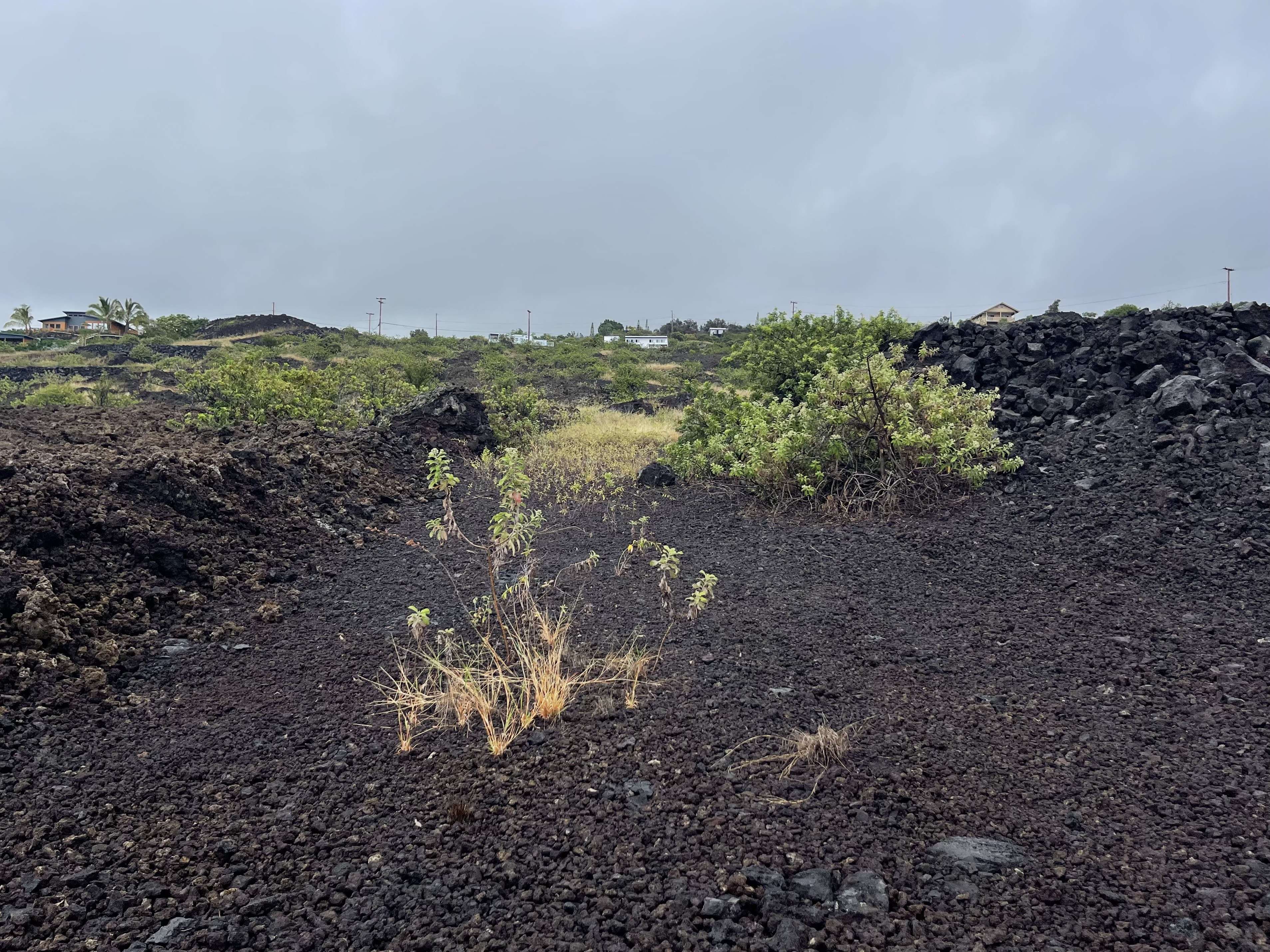 Captain Cook, HI 96704,MILOLII RD