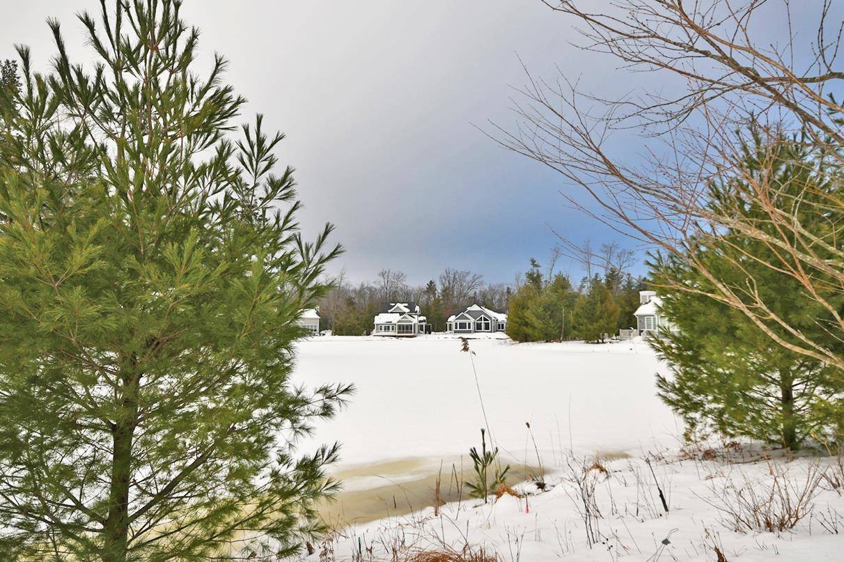 Glen Arbor, MI 49636,17 Frog Pond