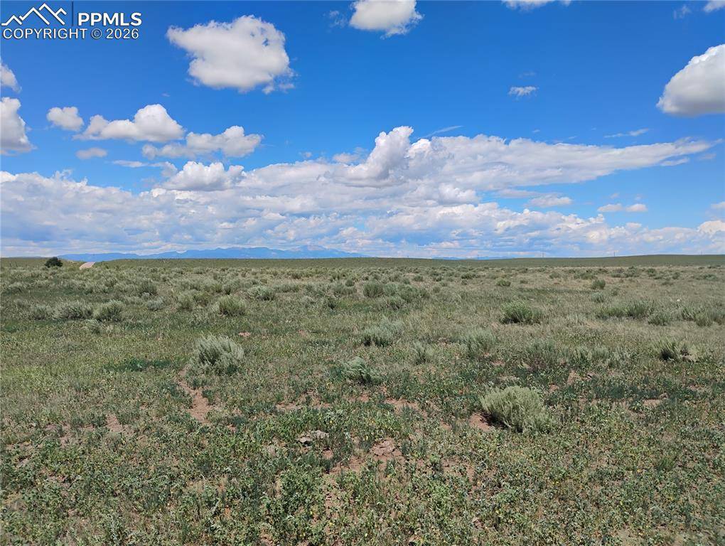 Colorado Springs, CO 80928,20610 Squirrel Creek RD