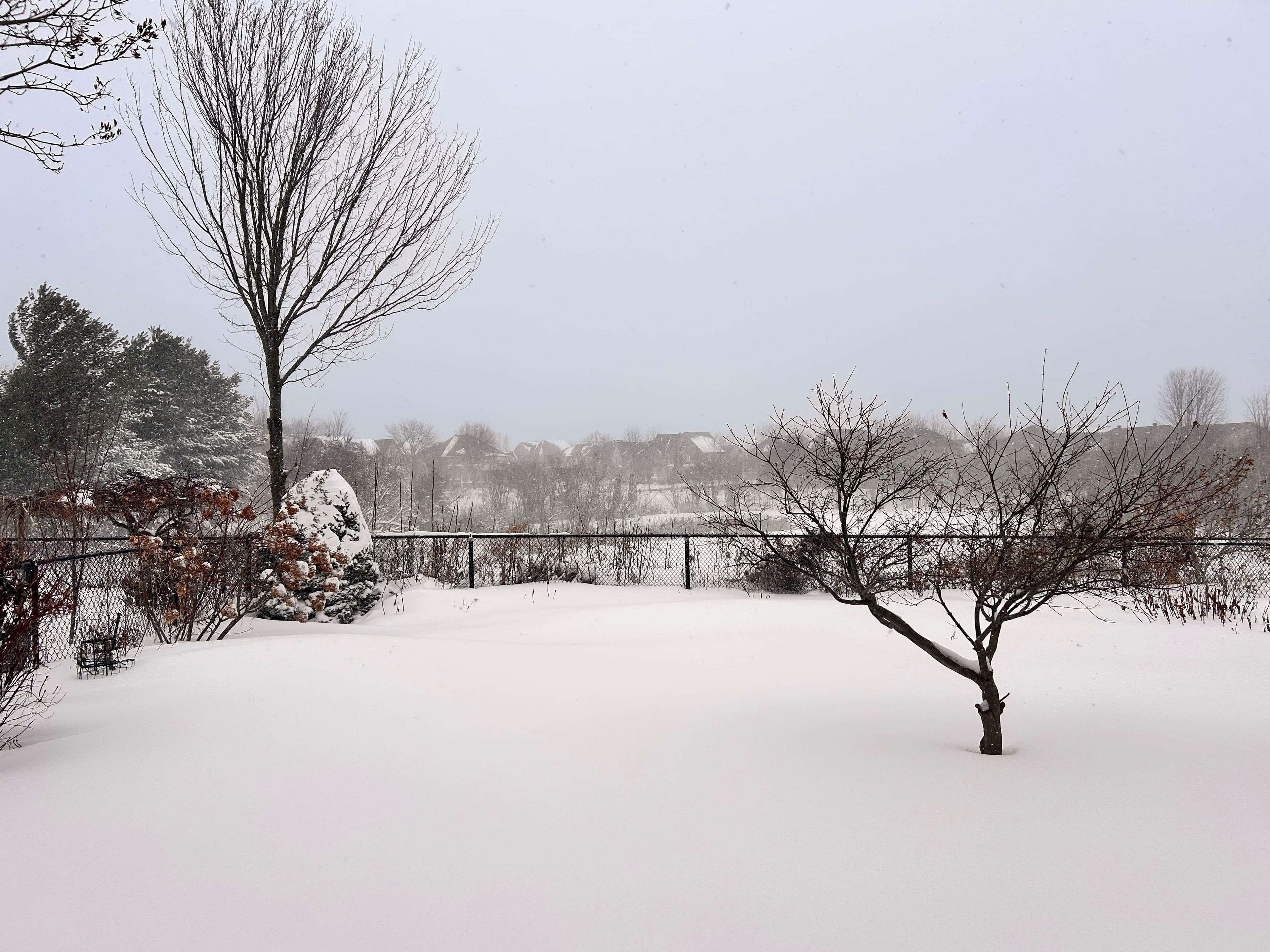 Richmond Hill, ON L4E 4C8,5 Richvalley CRES #Bsmt