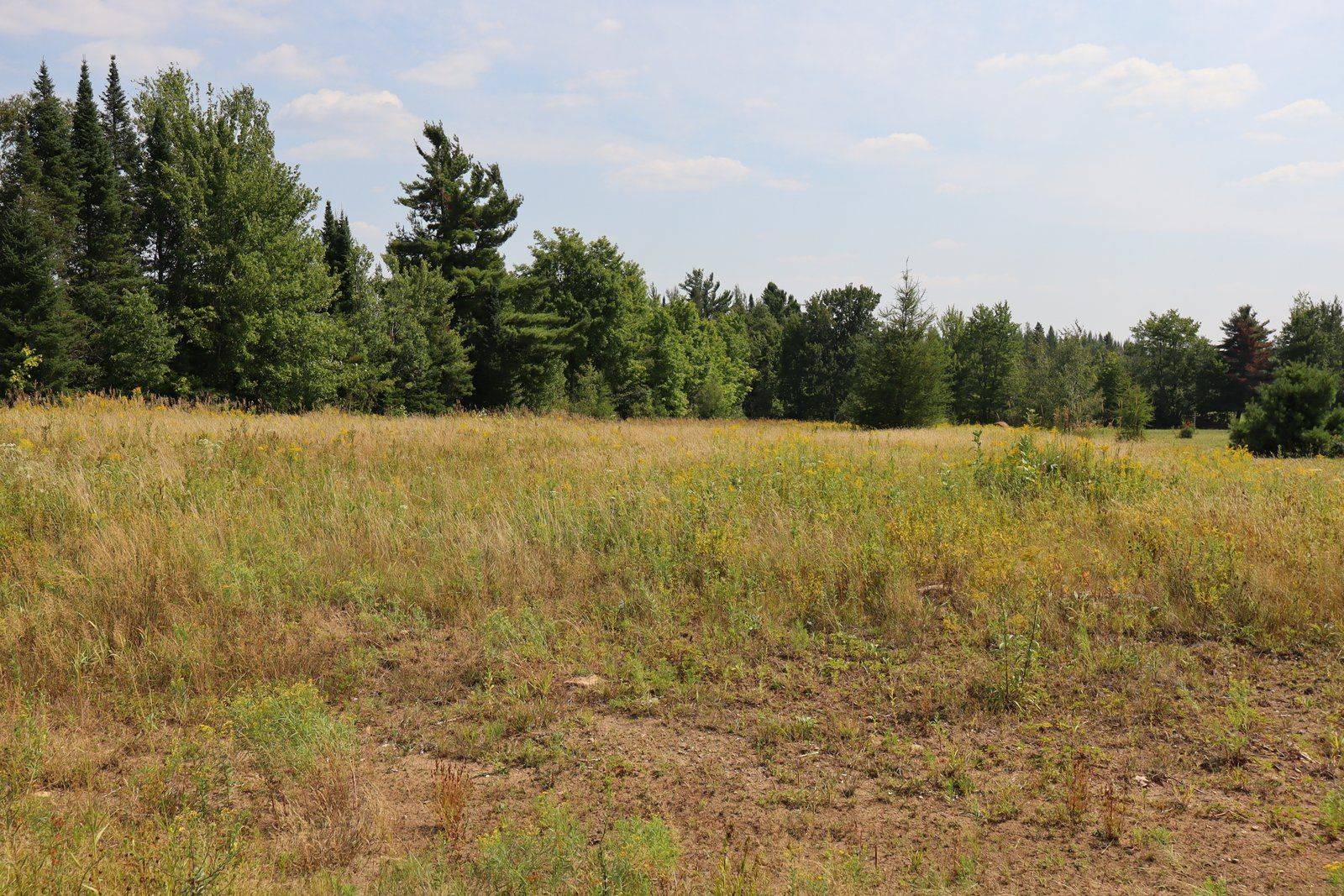 Minden Hills, ON K0M 2K0,1043 Piper Glen RD