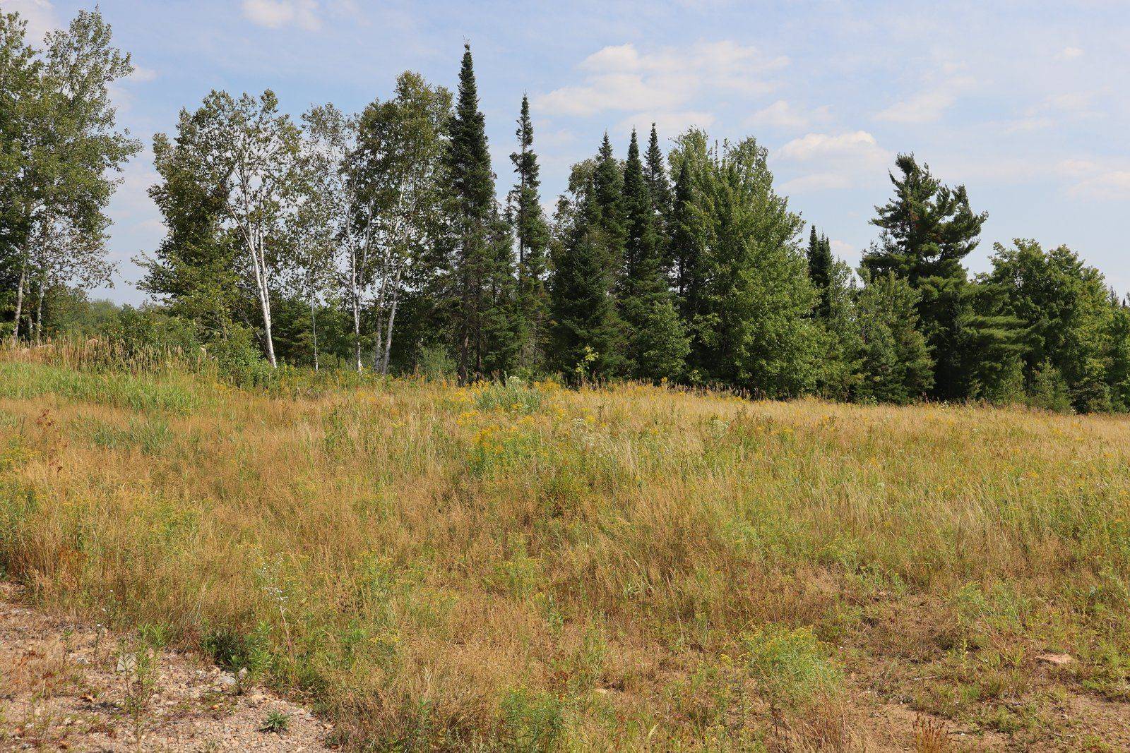 Minden Hills, ON K0M 2K0,1043 Piper Glen RD