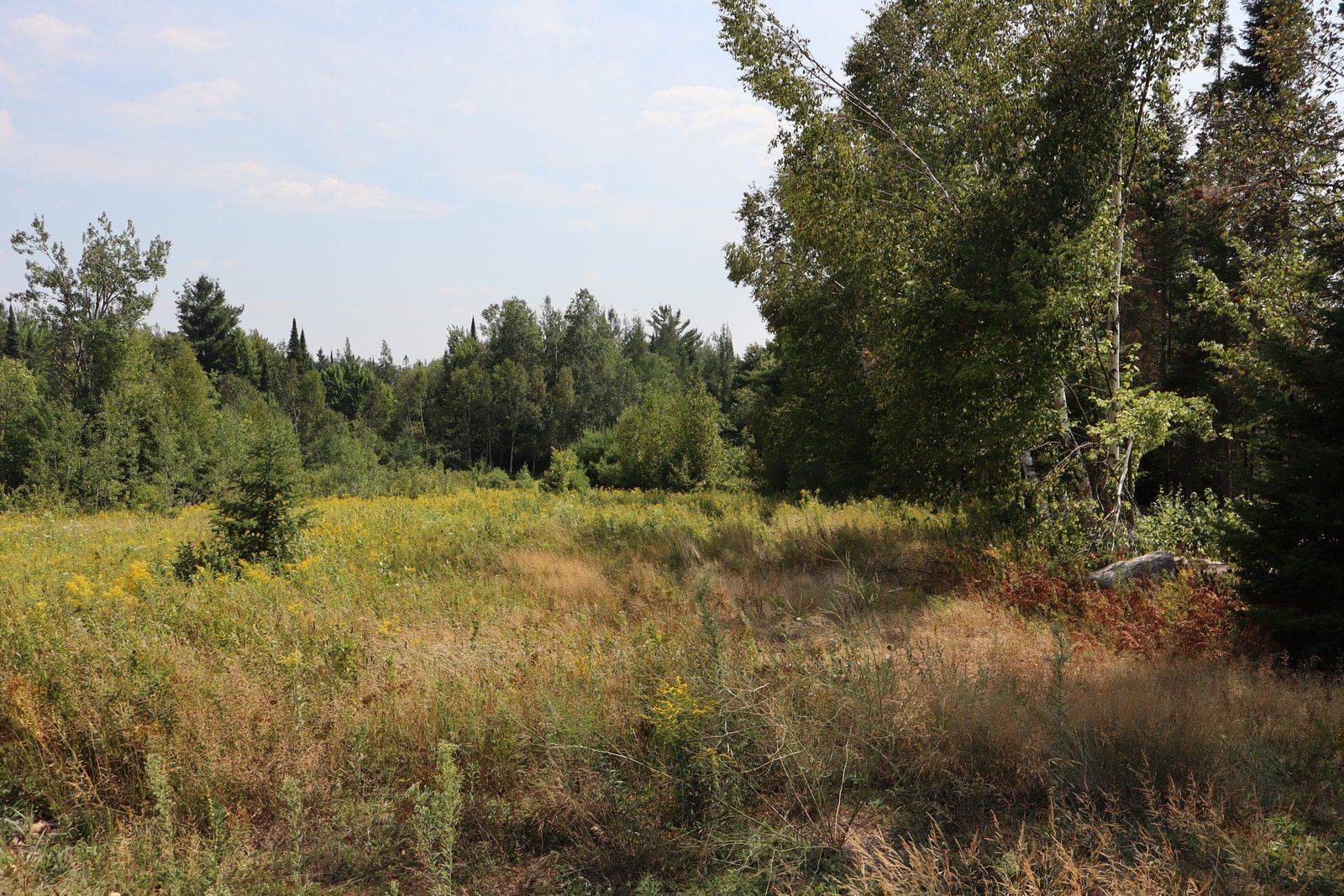 Minden Hills, ON K0M 2K0,1043 Piper Glen RD