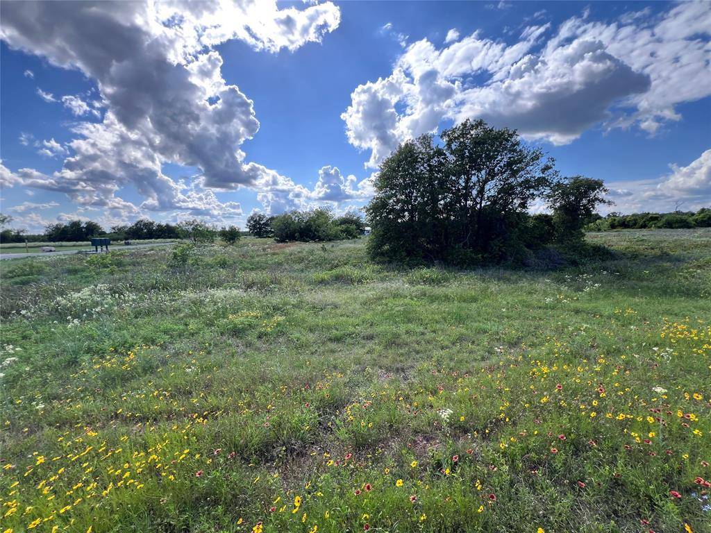 Clyde, TX 79510,TBD Lot 20 Live Oak Trail