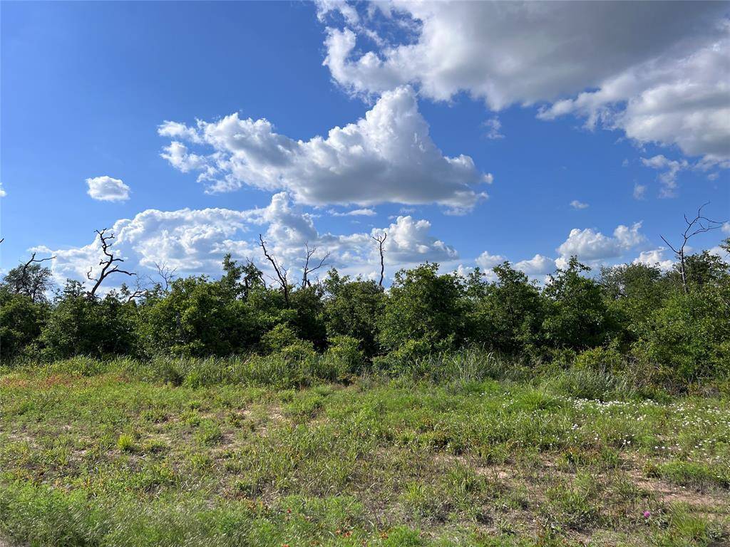 Clyde, TX 79510,TBD Lot 25 Live Oak Trail