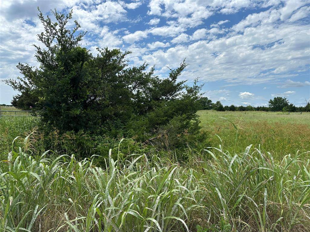 Farmersville, TX 75442,Lot 7 Lemonade Ln.