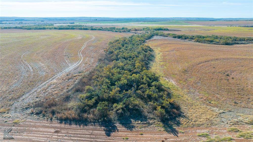 Roby, TX 79543,TBD FM 57, 160 Acres