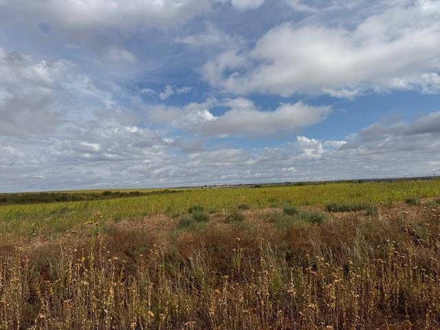 Roby, TX 79543,TBD FM 57, 160 Acres