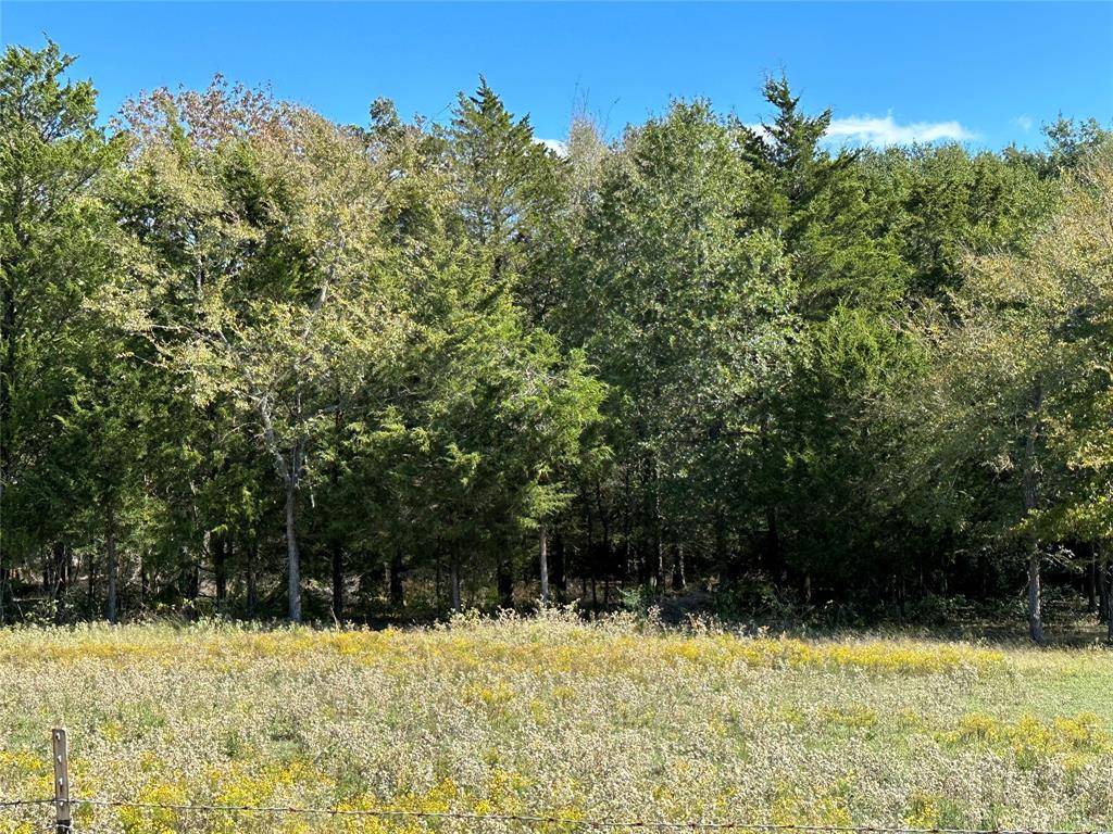 Malakoff, TX 75148,2924 CR 1403