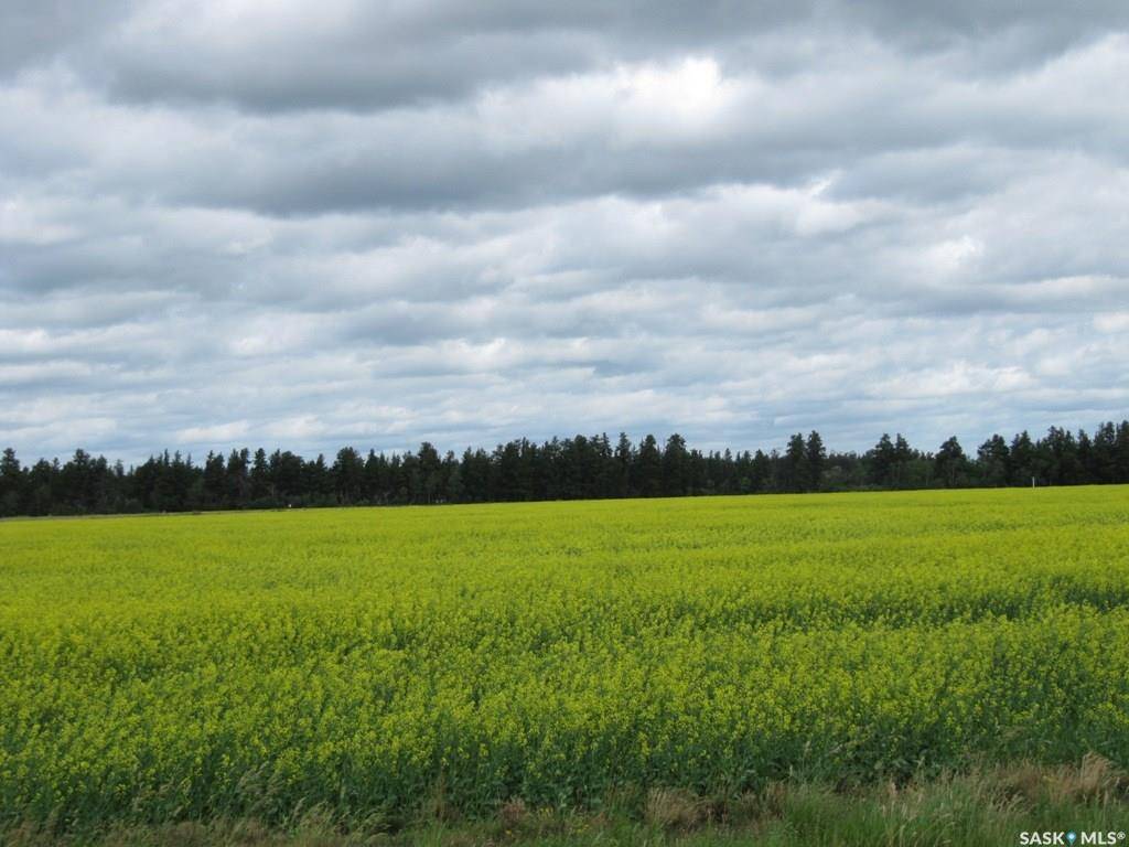 Rural Address, Nipawin Rm No. 487, SK S0E 1E0